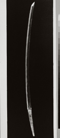  写真を拡大してみる