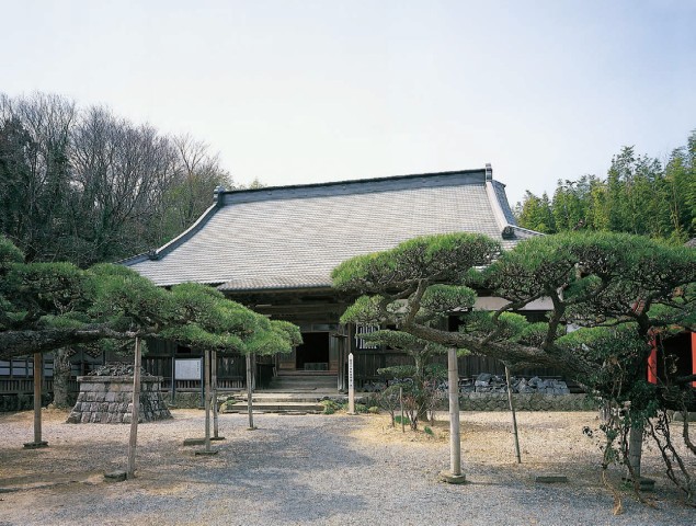  写真を拡大してみる